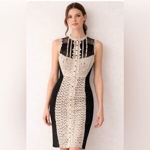Byron Lars Lasercut Black and Cream Lace Sheath Midi Dress